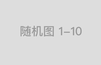 场内配资市场的竞争格局与发展动态